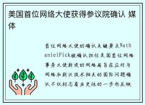 美国首位网络大使获得参议院确认 媒体