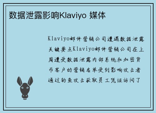数据泄露影响Klaviyo 媒体